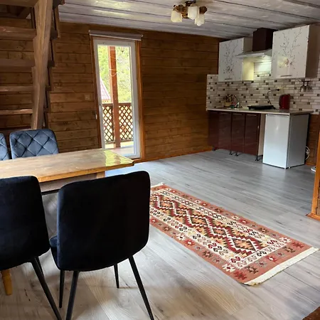 у ані двоповерховий номер 3 Apartment Synevyrsʼka Polyana